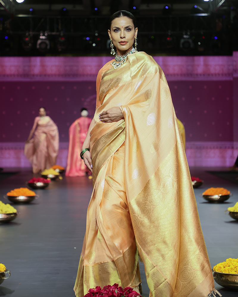 Light Peach Kota Kanjivaram Saree